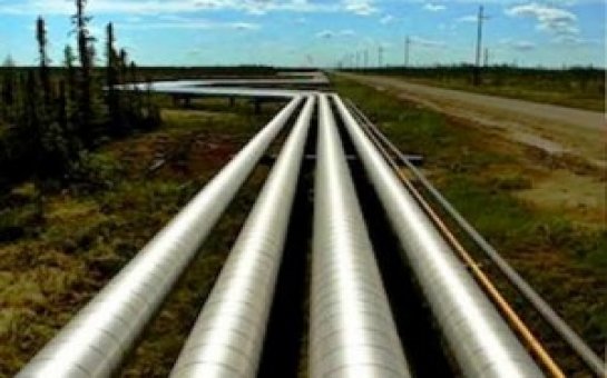 “Şirvan OİL”da şirkət rəhbərliyini kimlər aldadıb?  