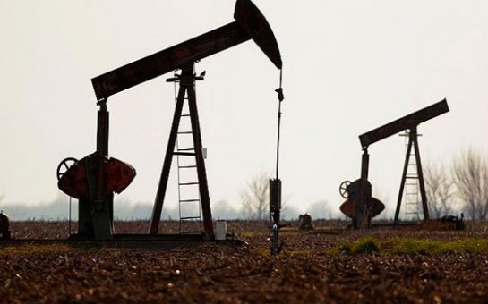 "Heç bir əməliyyat şirkəti dövlətə bu qədər gəlir gətirməyib"   - ARDNF