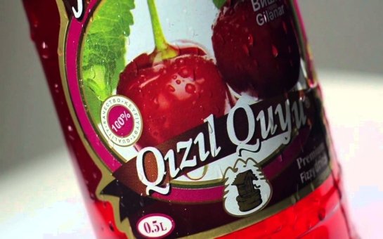 "Qızıl Quyu" firmasında qeydiyyatsız əcnəbilər çalışır?   - İDDİA