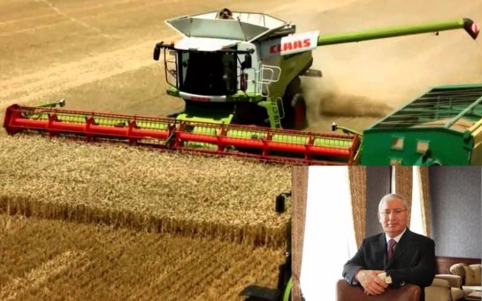 Ağsu fermerlərinin taxılı tarlada məhv olur – Nazirliyə qarşı ittihamlar