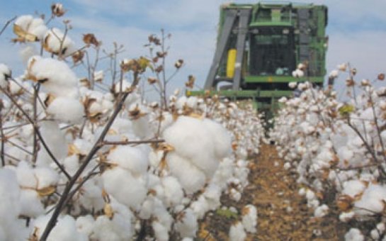 Kənd Təsərrüfati Nazirliyi fermerləri pulsuz qoyur