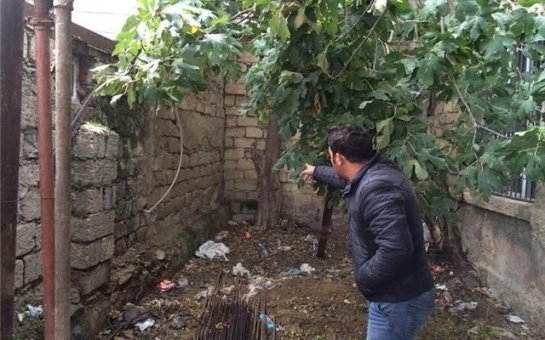 Yaşıllaşdırma Təsərrüfatı Birliyi təhlükə yaradır - FOTOLAR