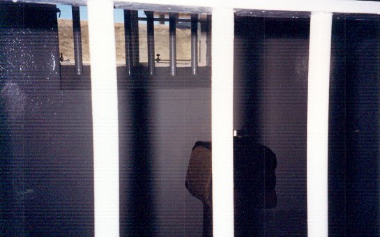 Dünyanın əfsanəvi siyasi məhbusları