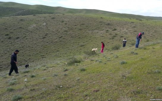 Füzuli və Cəbrayılın işğalından 24 il ötür
