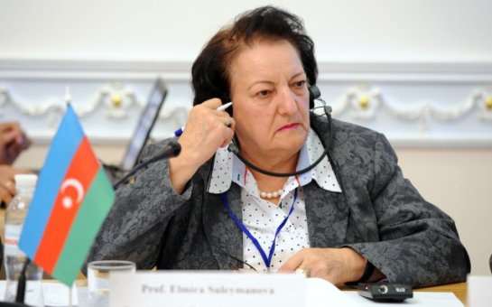 Elmira Süleymanova da AMEA-ya getdi