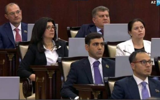 Erkin Qədirli Milli Məclisdə ilk çıxışını etdi