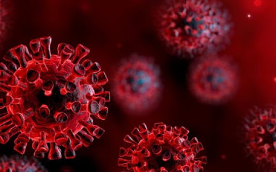 Koronavirus təhlükəsi və distant təhsil
