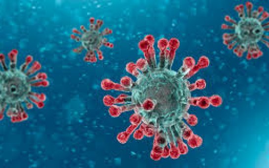 Koronavirus: Britaniya həkimləri seçim qarşısında