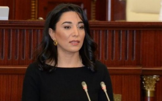 Ombudsman məsuliyyətə cəlb oluna bilərmi? - Hüquqşünas yazır