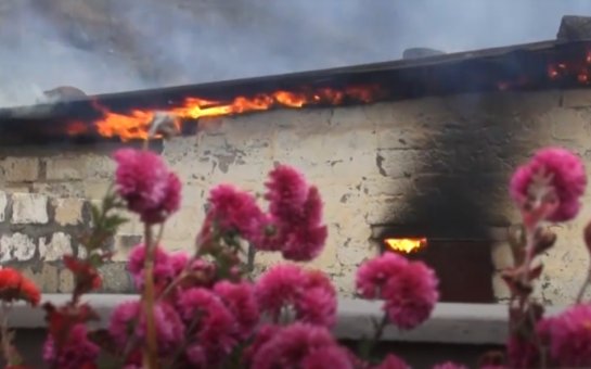 Kəlbəcərdə ağacların kəsilməsi ilə bağlı beynəlxalq təşkilatlara müraciət edilib