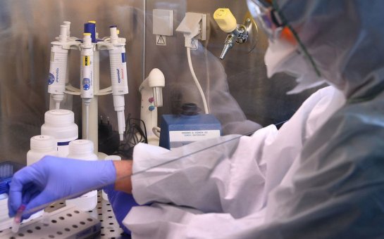 Koronavirus Cənubi Qafqazda: bir günlük statistika