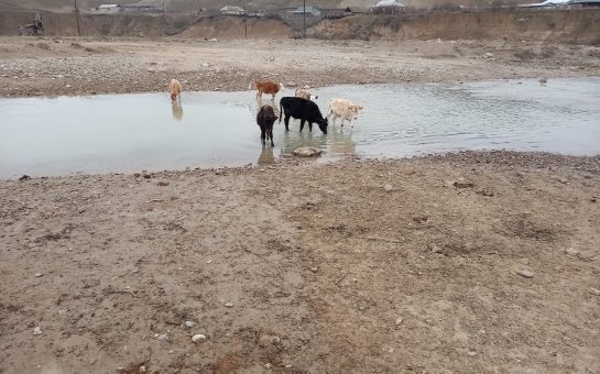 “Virusa görə ayrılan xəstəxananın çirkab suları da çaya axıdılır”