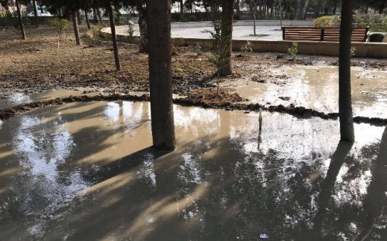 Bakıda Heydər Əliyev parkında ağacların dibinə beton tökülür - VİDEO 