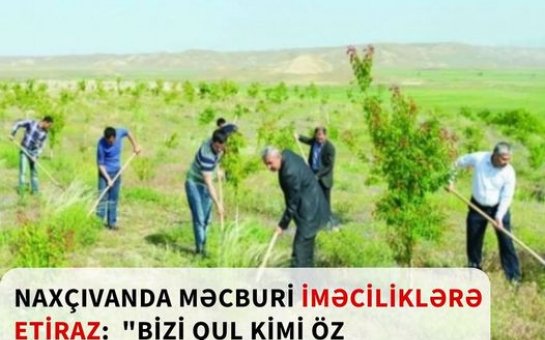 Naxçıvanda dövlət idarə və müəssisələrinin işçiləri məcburi iməciliyə çıxarılır