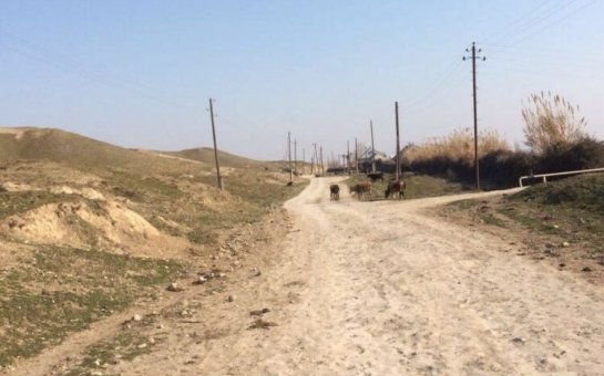 Sorsçaylılar: “Hesabatlarda yalandan yazılar ki, əhalini odunla təmin etdik”