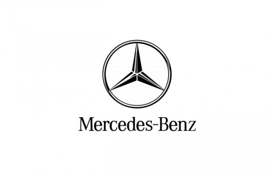 General oğullarının adını daşıyan holdinq... - “Mercedes” brendi, klinikalar, meqa layihələr, 30-dan çox mağaza