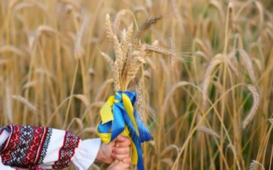 Ukrayna taxıl ixracına qadağa qoydu