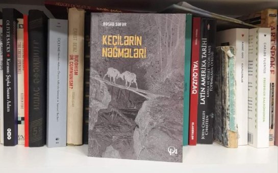 Yazıçı Rəşad Səfərin yeni romanı nəşr olundu