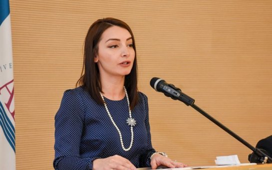 Leyla Abdullayeva səfir göndərildi