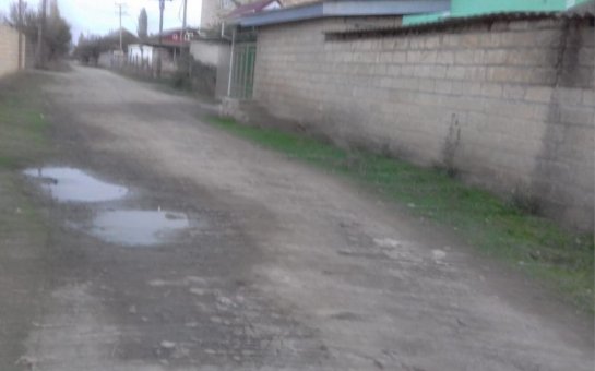 Şərəfəlilər: “Təhsil, iş dalınca gedənlər geri qayıtmır”