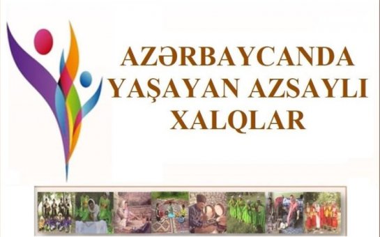 Son 10 ildə Azərbaycanda etnik azlıqların sayı necə dəyişib?