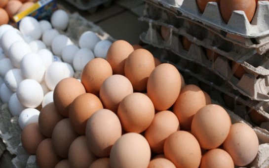 Azərbaycan Rusiyanın aparıcı yumurta tədarükçüsü olur