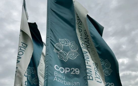 COP29: trilyonluq vədlər, illüziya adlandırlan razılaşmalar, təhdidlər və qalmaqallar